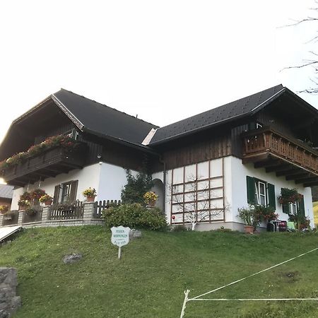 Ferienwohnung Syen Grundlsee Extérieur photo